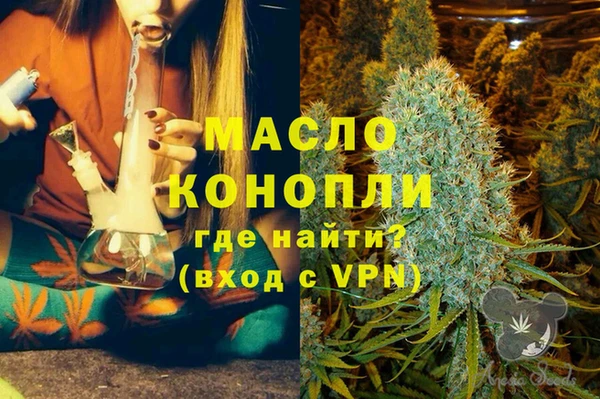 дживик Вязьма