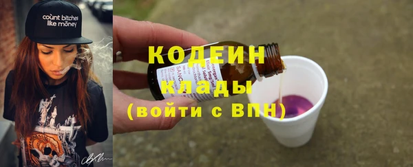 дживик Вязьма