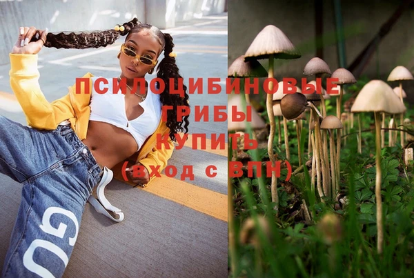 кокаин перу Вяземский