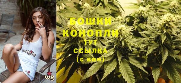 дживик Вязьма