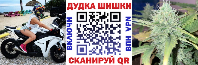 Купить где  Кировск  Бошки марихуана THC 21% 